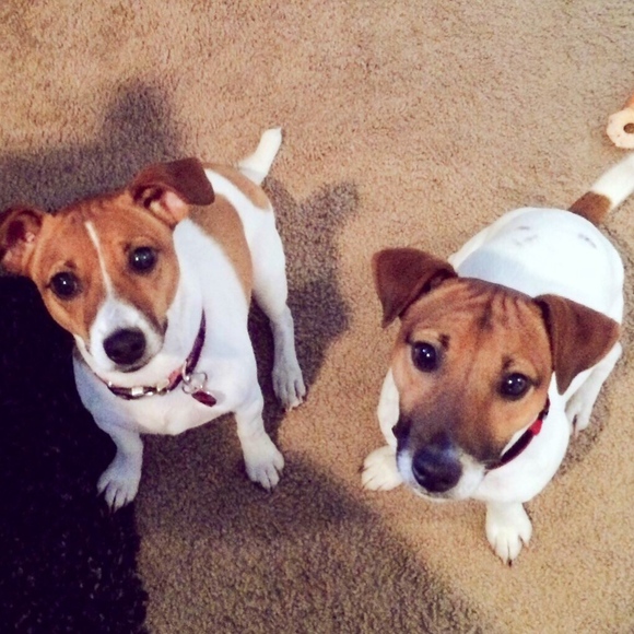 Meet your Posher, Ashley - Picture 3 of 5